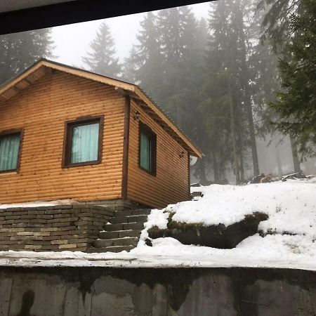 Family Hotel Ginger بامبوروفو المظهر الخارجي الصورة
