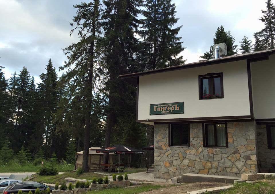Family Hotel Ginger بامبوروفو المظهر الخارجي الصورة