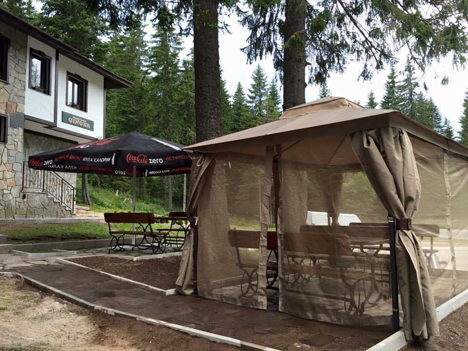 Family Hotel Ginger بامبوروفو المظهر الخارجي الصورة